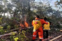 Respons Cepat BPBD Barito Utara Padamkan Karhutla di Desa Trahean