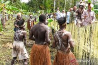 Wapres Gibran Dukung Penguatan Komoditas Pangan Lokal Papua Melalui Sekolah Lapang Sagu
