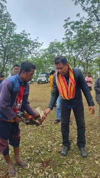 Mengenal Denda Adat Sopi dan Ayam Merah, Sanksi Bagi Perusak Hutan Dalam Kawasan Cagar Alam Mutis Timor Tengah Selatan