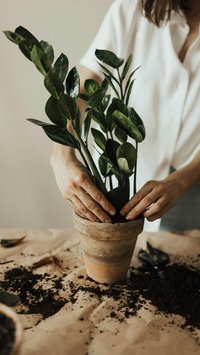 Aktivitas Fisik yang Menyehatkan, Berkebun yang Penuh dengan Manfaat untuk Tubuh