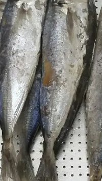 Trik Membuat Ikan Pindang Lembut dan Gurih, Perlu Dicoba di Rumah