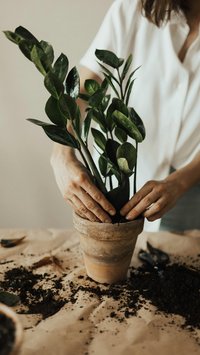 Tidak Hanya Untuk Hobi, Ini 8 Manfaat Lain Berkebun yang Juga Baik Untuk Kesehatan