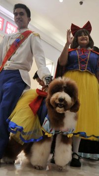 FOTO: Mewahnya Pesta Ulang Tahun Anjing Rocky dan Jesslyn di Mal Jakarta, Dimeriahkan Parade Busana ala Disney