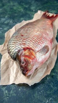 Menikmati Beragam Ikan Asli Indonesia, Bisa Jadi Camilan Enak hingga Cocok untuk Diet