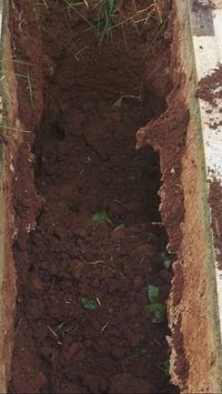 Viral Pria Datangi Makam Neneknya yang Runtuh Usai Dapat Laporan, Temukan Hal ‘Mistis’