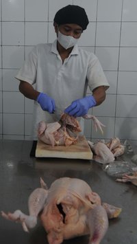 FOTO: Kunjungi Rumah Ayam Potong, Mendag Zulhas: "Udah Nggak Tawar-Tawar Lagi untuk Besok Harus Ada Sertifikasi Halal"
