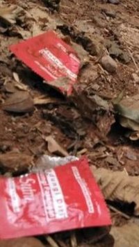 Heboh Kondom Berserakan di RTH Tubagus Angke, Satpol PP Dirikan Posko Keamanan dan Tambah Lampu Sorot