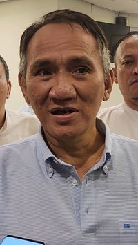Andi Arief Jadi Komisaris PLN, Demokrat Akan Tunjuk Kepala Bappilu Baru