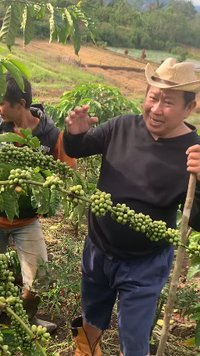 Kini jadi Petani, Momen Pensiunan Jenderal Polisi Turun ke Kebun Kopi Penampilannya Tetap Kece