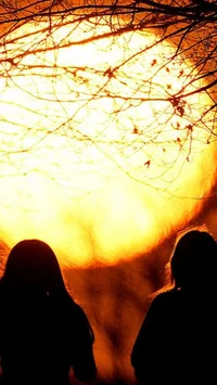 Eropa Memanas Paling Cepat di Dunia, Laporan Terbaru Ungkap Dampak Serius Perubahan Iklim