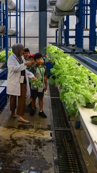 FOTO: Belajar Hidroponik di Kebun Vertikal Tertinggi di Indonesia