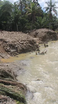 Ketika Hutan Tak Lagi Menahan Air: Menilik Jejak Deforestasi di Balik Cuaca Ekstrem Sumatra Utara