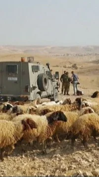 Terungkap 32 Badan Amal Inggris Salurkan Puluhan Juta Poundsterling ke Pemukim Ilegal Israel di Palestina