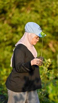 FOTO: Anak Muda Aceh Tanam Mangrove untuk Perkuat Ekosistem Pesisir