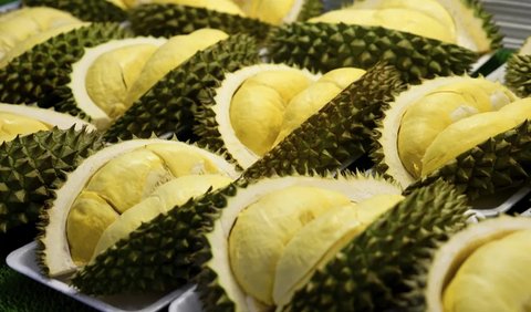 Indonesia belum bisa membudidayakan durian monthong dengan baik