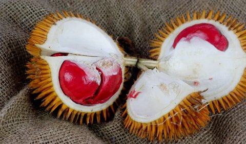 Varian durian lain yang tak kalah enak di Indonesia
