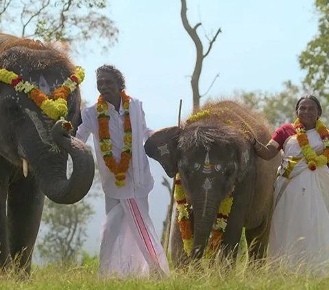 India juga berjaya di Oscar ke-95 atas kemenangan 'The Elephant Whisperers' dalam kategori film pendek dokumenter terbaik.