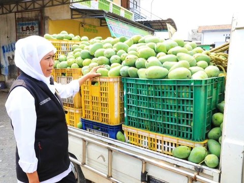 Punya Cita Rasa Unik, Begini Sensasi Mencicipi Mangga Khas Jawa Timur