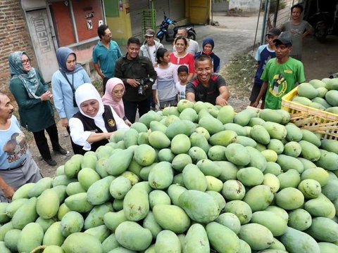 Mangga Gadung