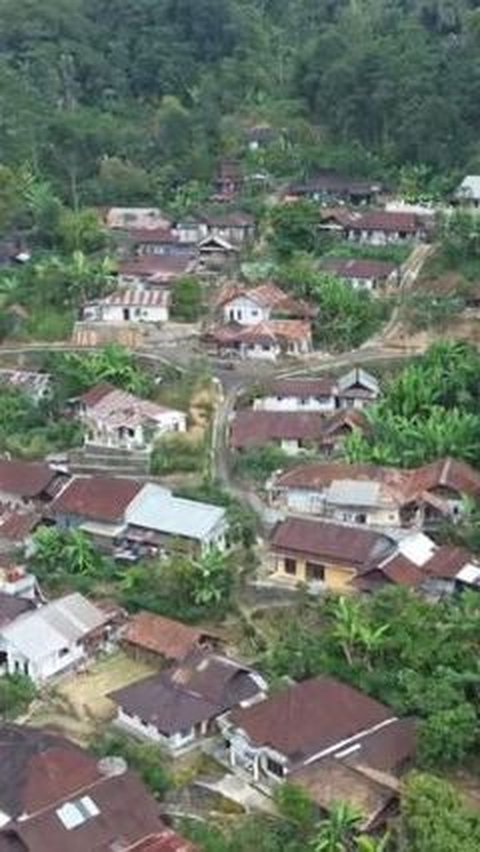 Indah dan Eksotis, Begini Suasana Desa yang Berada di Tengah Hutan Petungkriyono Pekalongan