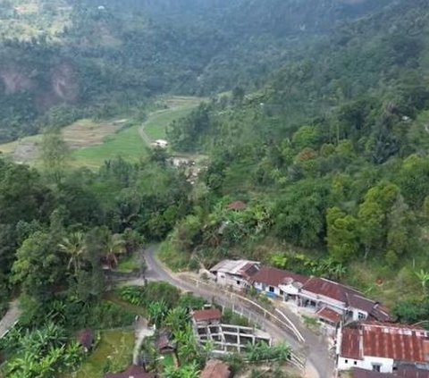 Indah dan Eksotis, Begini Suasana Desa yang Berada di Tengah Hutan Petungkriyono Pekalongan