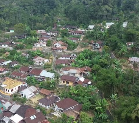 Indah dan Eksotis, Begini Suasana Desa yang Berada di Tengah Hutan Petungkriyono Pekalongan