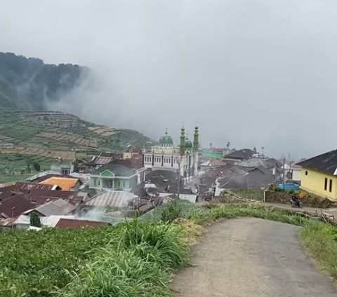 Indah dan Eksotis, Begini Suasana Desa yang Berada di Tengah Hutan Petungkriyono Pekalongan