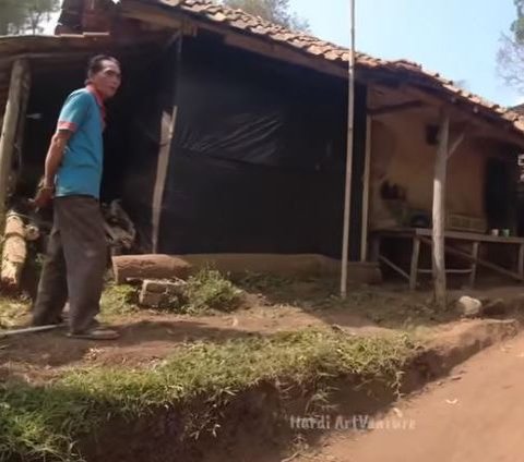 Mantan Bintang Film Ini Pilih Tinggal Sendiri di Gubuk Kecil Tengah Hutan, Ini Kisah di Baliknya