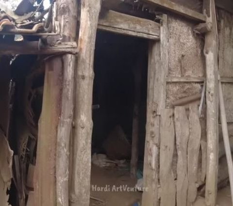 Mantan Bintang Film Ini Pilih Tinggal Sendiri di Gubuk Kecil Tengah Hutan, Ini Kisah di Baliknya