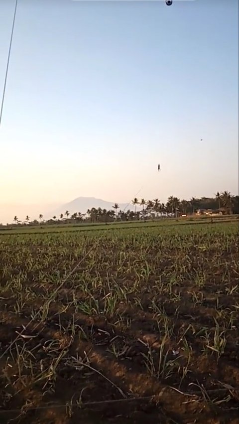 Buat Panik, Bocah Ini Terbang Terbawa Angin saat Main Layangan