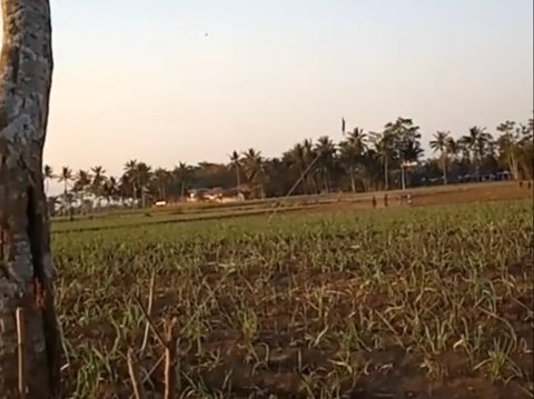 Buat Panik, Bocah Ini Terbang Terbawa Angin saat Main Layangan