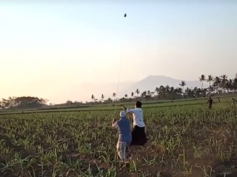 Buat Panik, Bocah Ini Terbang Terbawa Angin saat Main Layangan