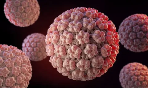 Mengenal Vaksin HPV: Tujuan, Jenis, Cara Kerja, dan Efek Sampingnya