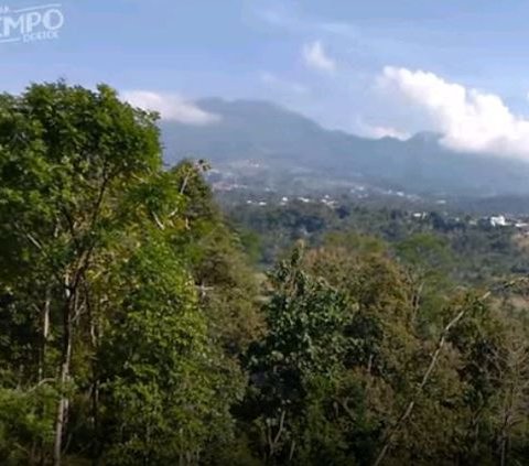 Diduga Pernah Jadi Tempat Pertapaan Presiden Soekarno dan Soeharto, Ini Potret Gunung Kendali Sodo di Bawen Semarang