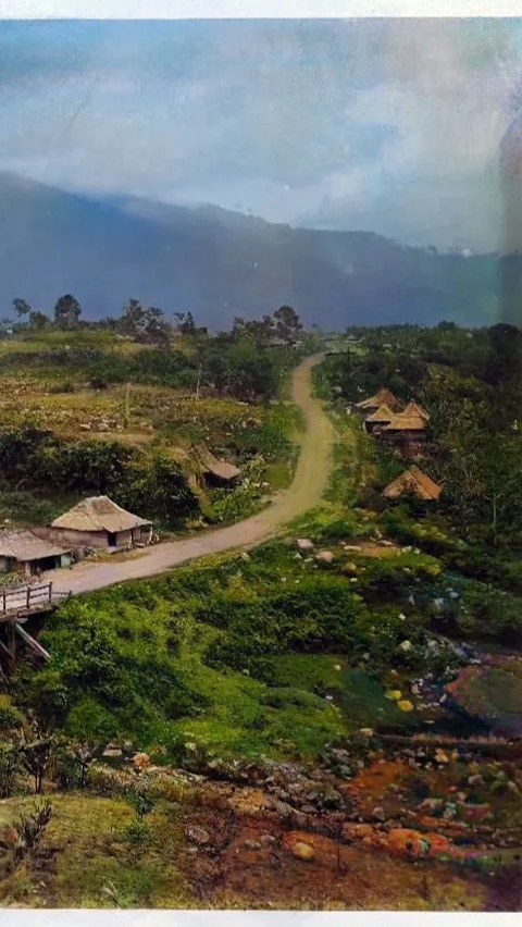 Potret Jalan Raya Puncak Bogor Zaman Dulu, Masih Tanah & Hutan Hanya Dilalui Delman