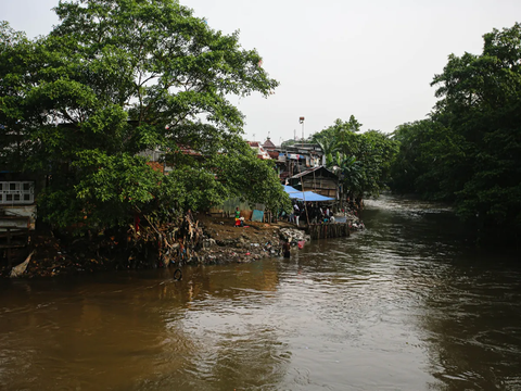 Gerombolan Makhluk Kecil Penunggu Kali Ciliwung Serang Permukiman di Depok, Warga Ada yang Digigit