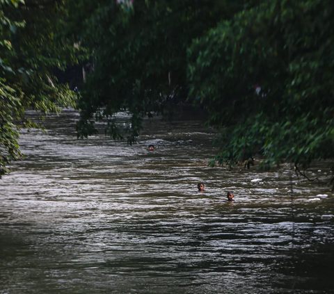 Gerombolan Makhluk Kecil Penunggu Kali Ciliwung Serang Permukiman di Depok, Warga Ada yang Digigit