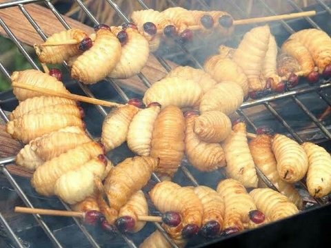 Bocah SD di Bojonegoro Bawa Bekal Lauk Ulat Diejek Guru, Padahal Tinggi Protein Baik untuk Kesehatan