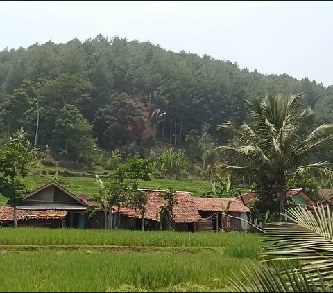 Kemarau Melanda, Desa di Cianjur Ini Tetap Punya Pemandangan Mengagumkan Bak di Eropa