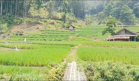 Warganya punya kerajinan Bongsang