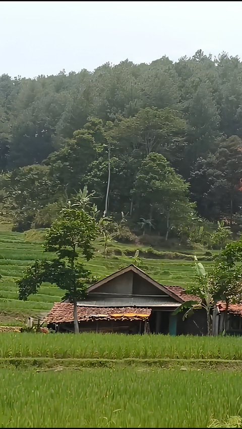 Kemarau Melanda, Desa di Cianjur Ini Tetap Punya Pemandangan Mengagumkan Bak di Eropa