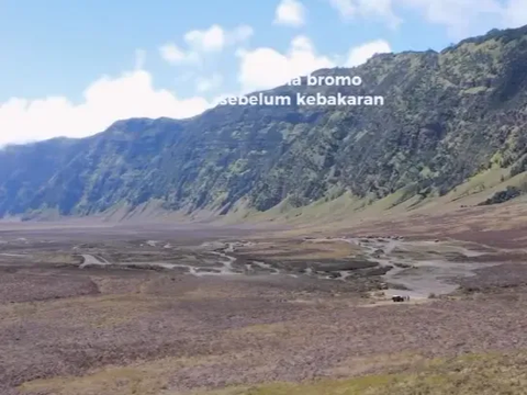 Savana Bromo Kembali Menghijau Usai Kebakaran Akibat Flare Prewedding, Ini Foto-Foto Pemandangan Terbarunya