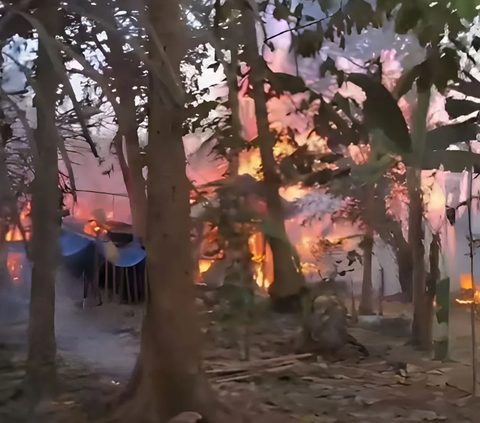 Warga Tewas Akibat Kebakaran Hutan dan Lahan di Sulawesi Selatan