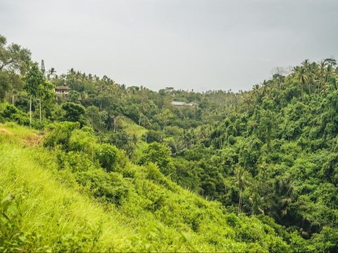 Orang Kalang di Bojonegoro