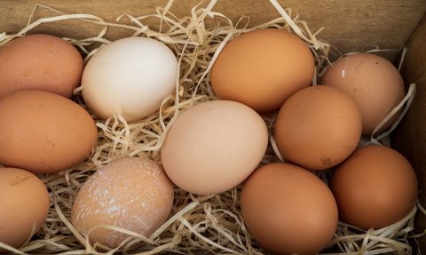 Hari Telur Sedunia Jatuh pada 13 Oktober 2023, Begini Sejarahnya