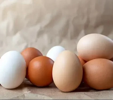 Hari Telur Sedunia Jatuh pada 13 Oktober 2023, Begini Sejarahnya