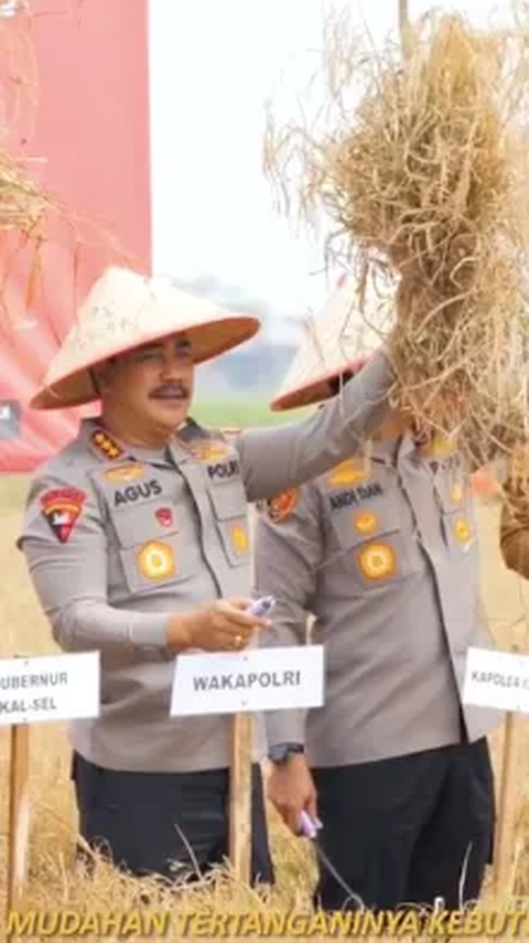 Berseragam Polri Pakai Topi Caping Petani, Intip Momen Komjen Agus Andrianto Turun ke Sawah Menanam Padi