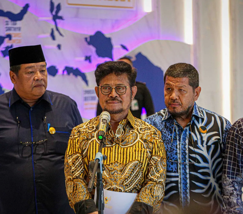 Syahrul Yasin Limpo Ditangkap KPK, Jokowi: Itu Proses Hukum yang Harus Dijalani