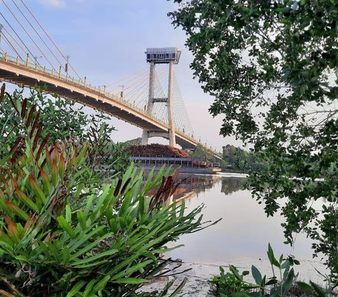 Menengok Lift 73 Meter di Jembatan Sultanah Latifah Siak