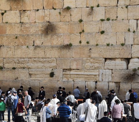 Terbongkar Ketakutan Israel Hadapi Pertempuran Dahsyat Akhir Zaman, Jutaan Pohon Gharqad Ditanam